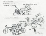 bike-and-tree-sstructures.jpg