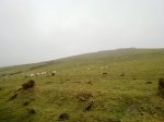 19022009674.jpg