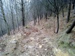 19022009679.jpg