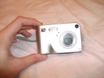 fotos 212.jpg