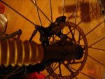 DSC01880.JPG
