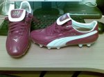 Puma 1.jpg