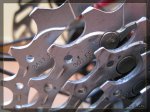 El tallado de los dientes XT 2008.jpg