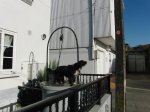 CIMG0106.jpg