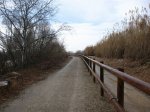 IMG_8642.JPG