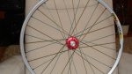 DSC01291.JPG
