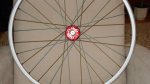 DSC01295.JPG
