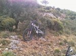 IMAG0994.jpg