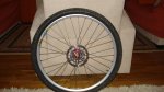 DSC01306.JPG