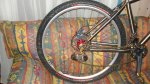 DSC01308.JPG