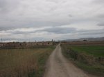 IMG_8862.JPG