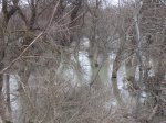 IMG_8871.JPG