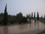 IMG_8978.JPG