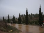 IMG_8979.JPG