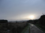 IMG_8984.JPG