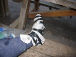 IMG_8988.JPG