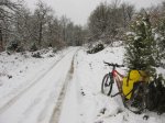 IMG_9065.JPG