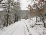 IMG_9068.JPG