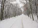 IMG_9076.JPG