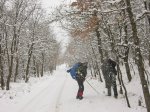 IMG_9077.JPG