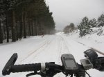 IMG_9081.JPG