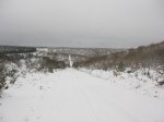 IMG_9084.JPG