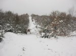 IMG_9086.JPG