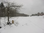 IMG_9091.JPG