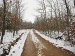 IMG_9105.JPG