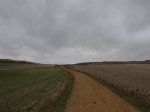 IMG_9151.JPG