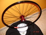 DSC08062.JPG