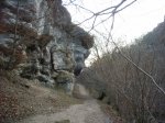 Image_006.jpg