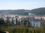 IMG_9942.JPG