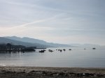 IMG_9943.JPG