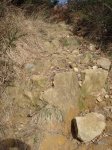 0901_Varios 022.jpg