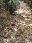 0901_Varios 024.jpg