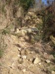 0901_Varios 025.jpg