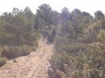 DSC01893.jpg
