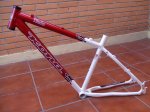 DSCF2519.JPG