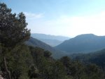 DSCF0681.jpg