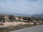 DSCF0695.jpg