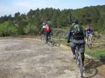 IMG_1147.jpg