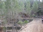 IMG_1151.jpg