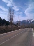 IMG_0200.jpg