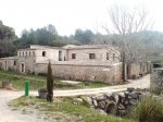 DSC02102.jpg
