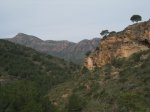IMG_1761.jpg