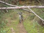 montes 012.jpg