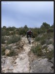 IMG_5815 copia.jpg