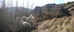Panorama 1.jpg