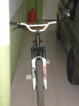 DSC01899.jpg